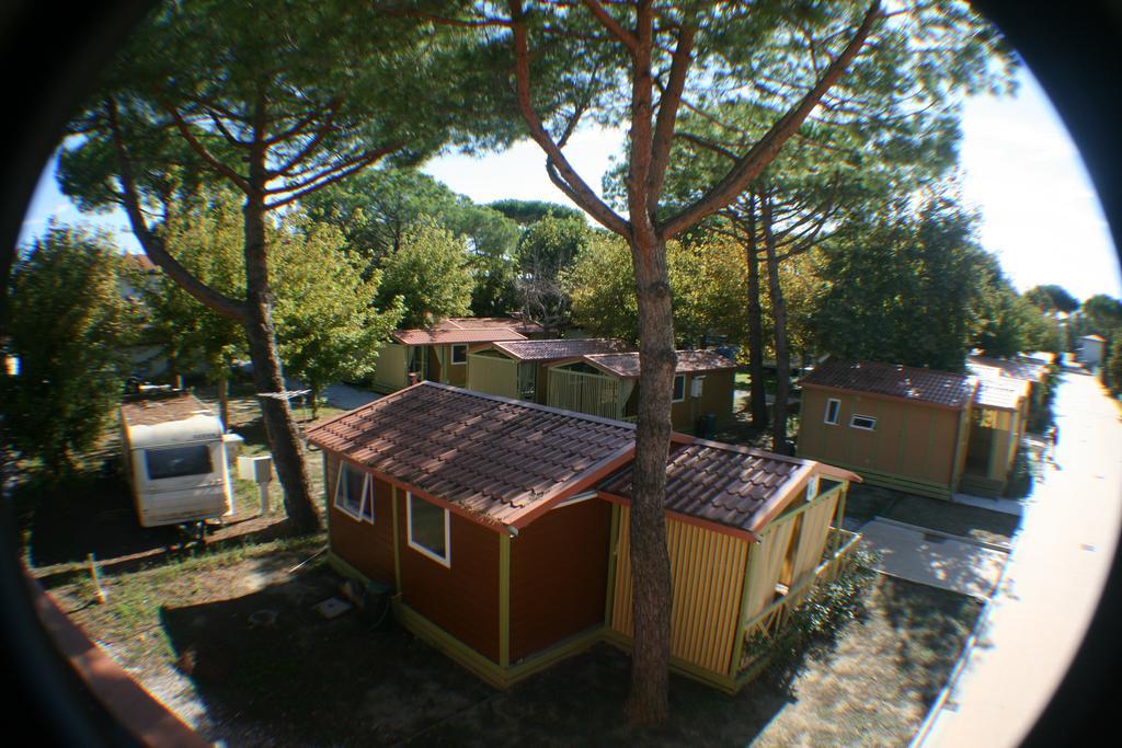利多迪卡马约雷 Camping Versilia Mare酒店 外观 照片